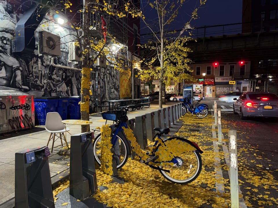 Ginkgo